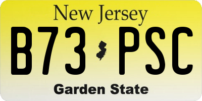 NJ license plate B73PSC