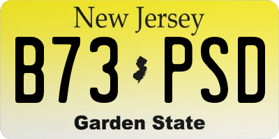 NJ license plate B73PSD