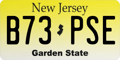 NJ license plate B73PSE