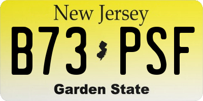 NJ license plate B73PSF