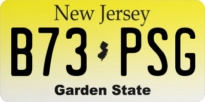 NJ license plate B73PSG