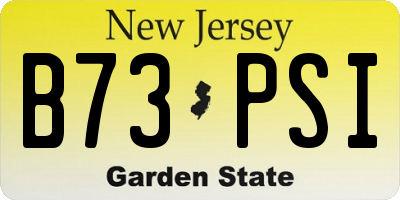 NJ license plate B73PSI