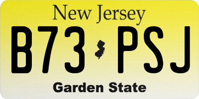 NJ license plate B73PSJ