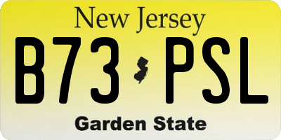NJ license plate B73PSL
