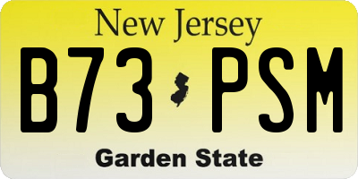 NJ license plate B73PSM