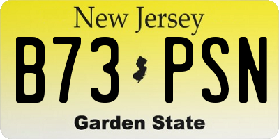 NJ license plate B73PSN
