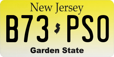 NJ license plate B73PSO