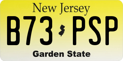 NJ license plate B73PSP