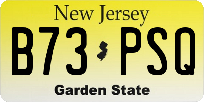 NJ license plate B73PSQ