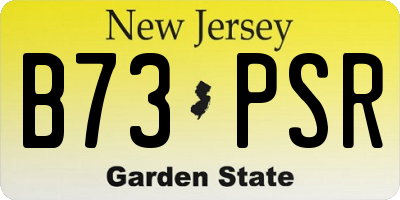 NJ license plate B73PSR