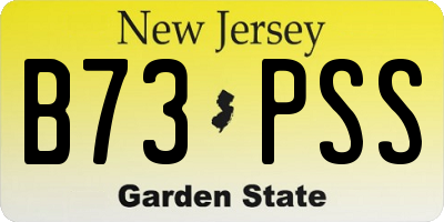NJ license plate B73PSS