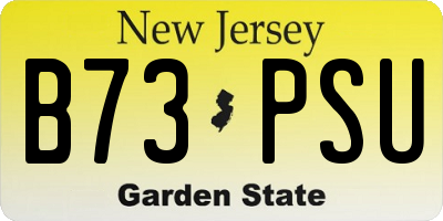 NJ license plate B73PSU