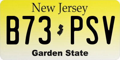 NJ license plate B73PSV