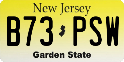 NJ license plate B73PSW