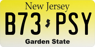 NJ license plate B73PSY