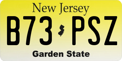NJ license plate B73PSZ