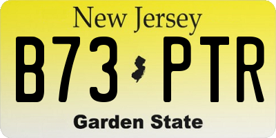 NJ license plate B73PTR