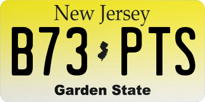 NJ license plate B73PTS