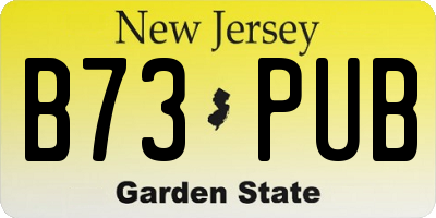 NJ license plate B73PUB