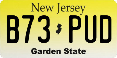 NJ license plate B73PUD