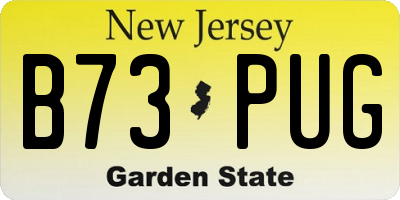 NJ license plate B73PUG