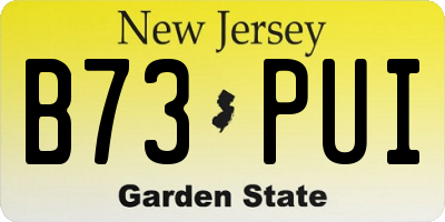 NJ license plate B73PUI