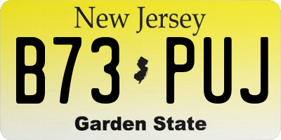 NJ license plate B73PUJ
