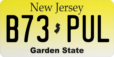 NJ license plate B73PUL