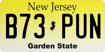 NJ license plate B73PUN
