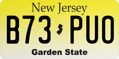 NJ license plate B73PUO