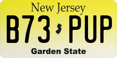 NJ license plate B73PUP