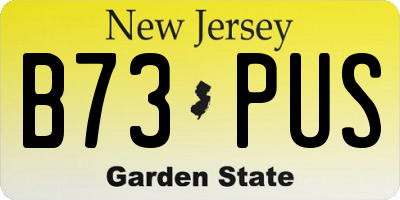 NJ license plate B73PUS