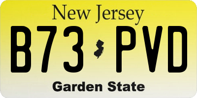 NJ license plate B73PVD