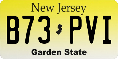 NJ license plate B73PVI