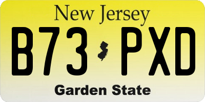 NJ license plate B73PXD