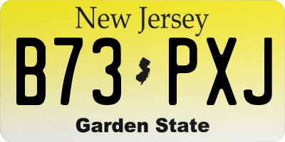 NJ license plate B73PXJ