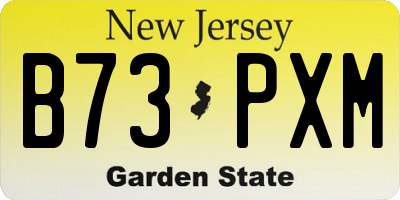 NJ license plate B73PXM