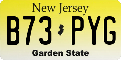 NJ license plate B73PYG