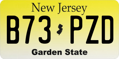 NJ license plate B73PZD