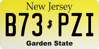 NJ license plate B73PZI