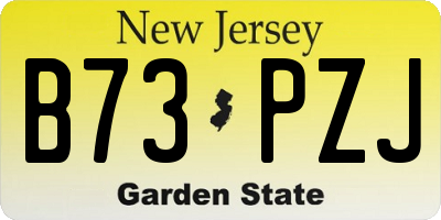 NJ license plate B73PZJ
