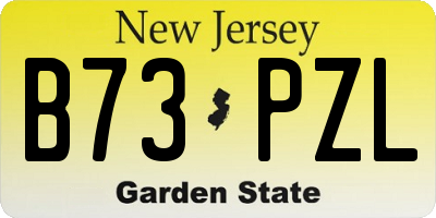 NJ license plate B73PZL
