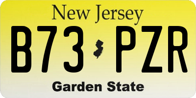 NJ license plate B73PZR