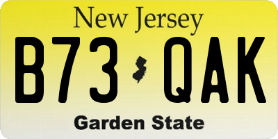 NJ license plate B73QAK