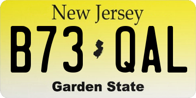 NJ license plate B73QAL