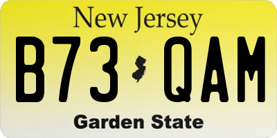 NJ license plate B73QAM