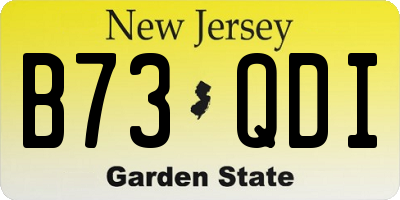 NJ license plate B73QDI