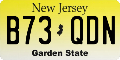 NJ license plate B73QDN