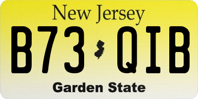 NJ license plate B73QIB