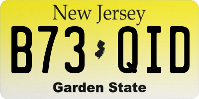 NJ license plate B73QID